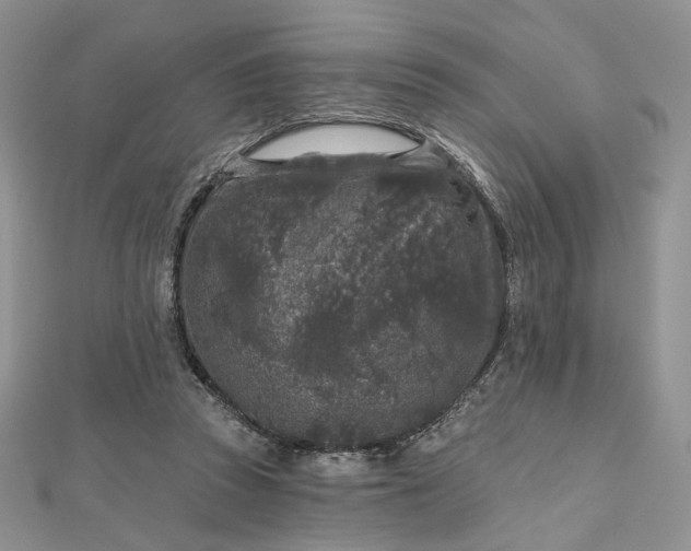 X0000112800353200909041437