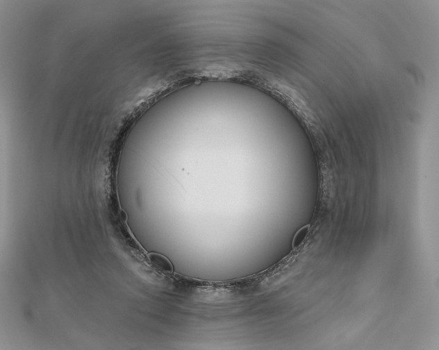 X0000112800354200909041437