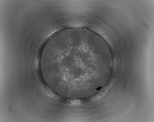 X0000112800355200909041437