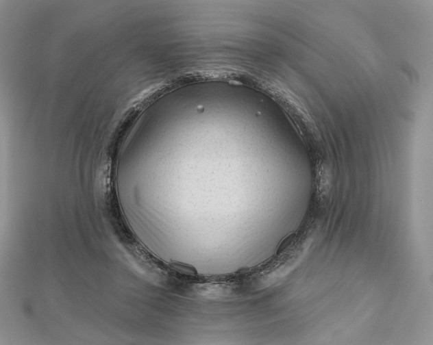 X0000112800356200909041437