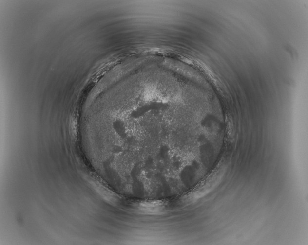 X0000112800357200909041437