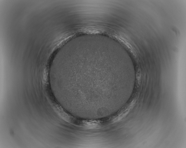 X0000112800359200909041437