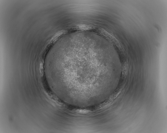 X0000112800360200909041437