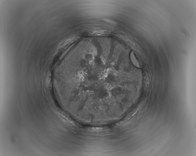 X0000112800361200909041437