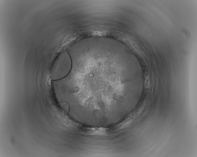 X0000112800363200909041437