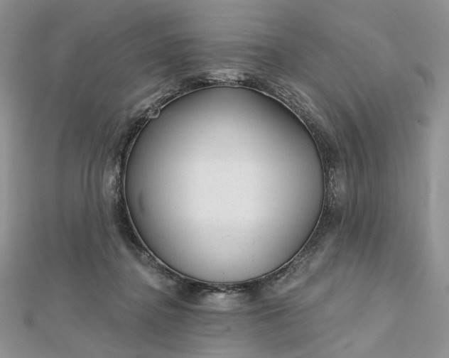 X0000112800364200909041437