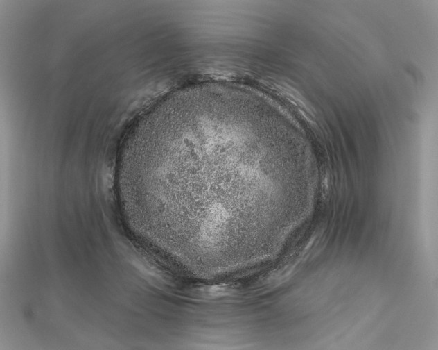 X0000112800365200909041437