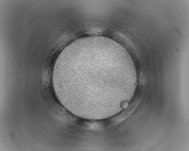 X0000112800370200909041438