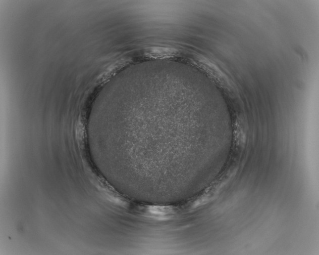 X0000112800371200909041438