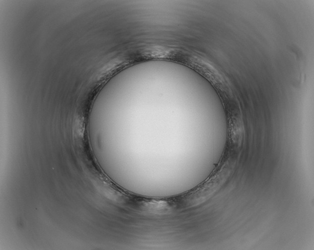 X0000112800374200909041438