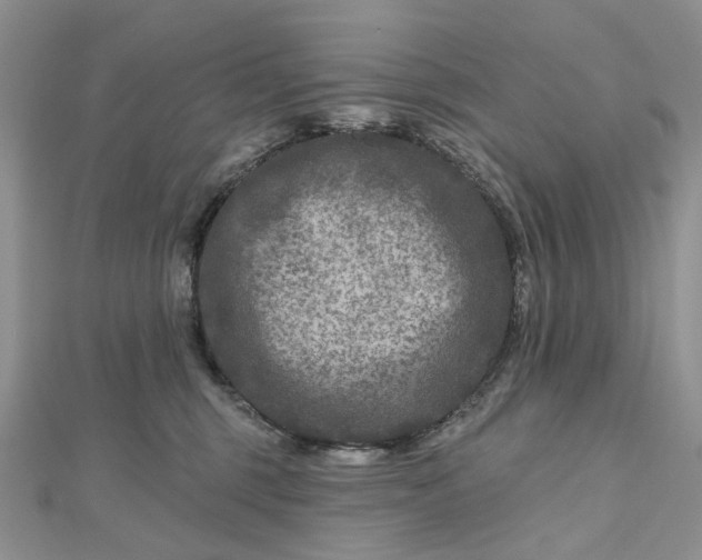 X0000112800375200909041438