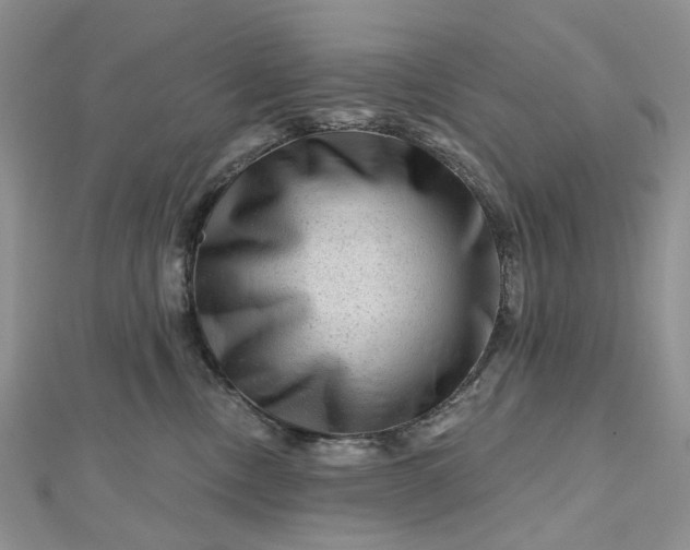 X0000112800378200909041438