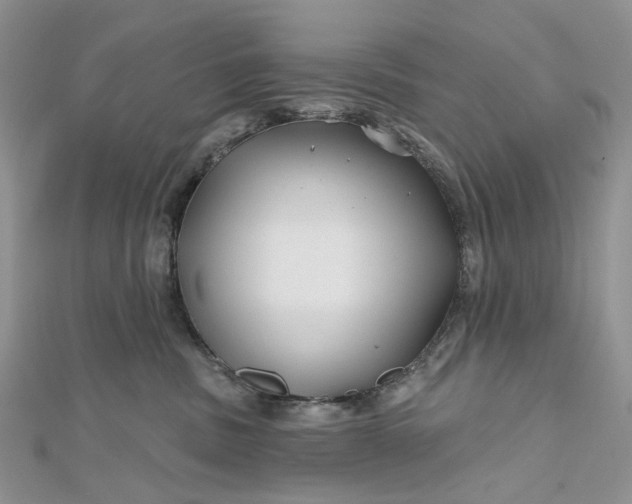 X0000112800379200909041438