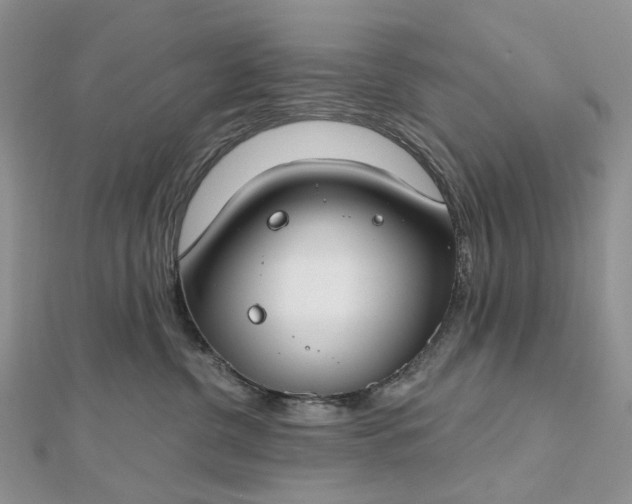 X0000112800380200909041438