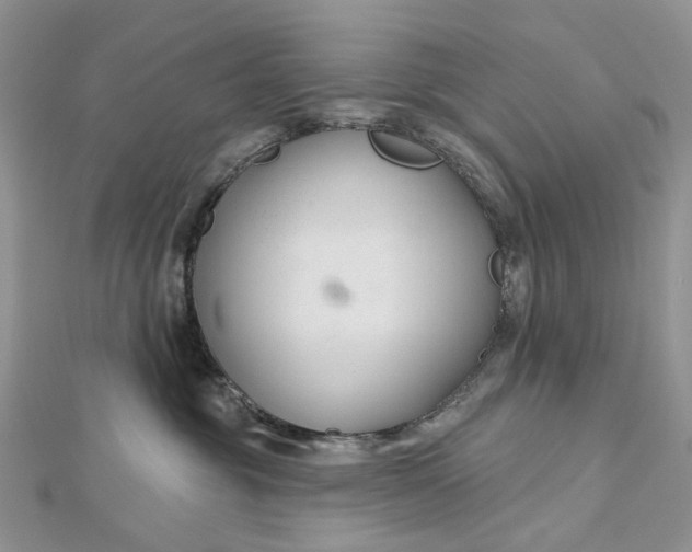 X0000112800381200909041438