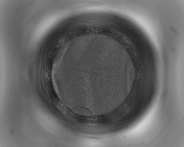 X0000112800382200909041438