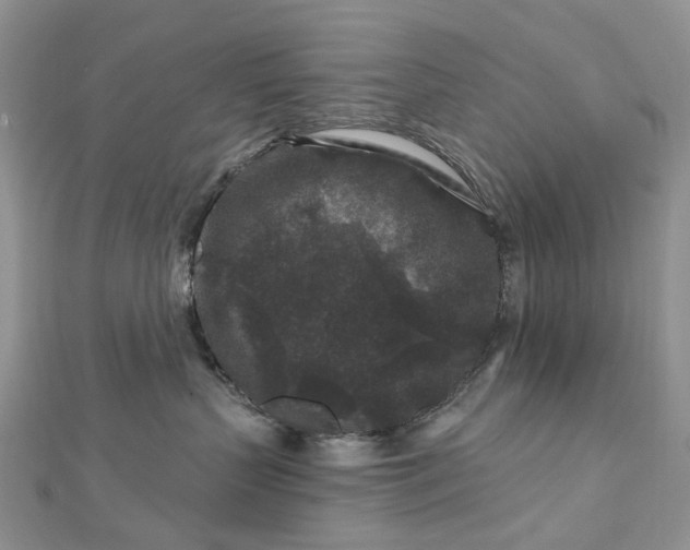 X0000112800383200909041438