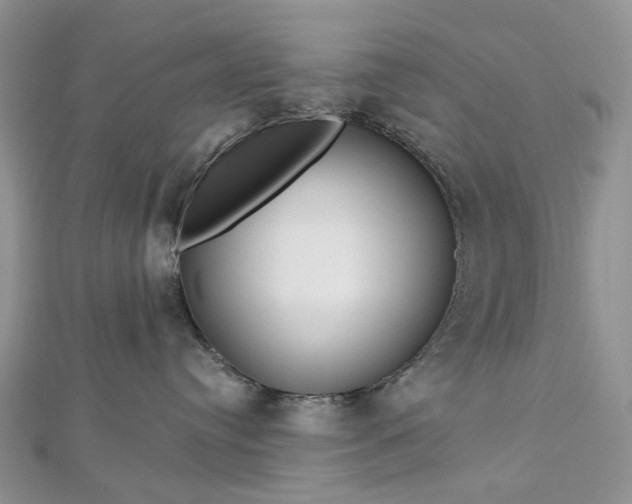 X0000112800384200909041438