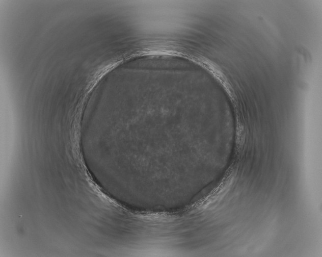 X0000112800385200909041437