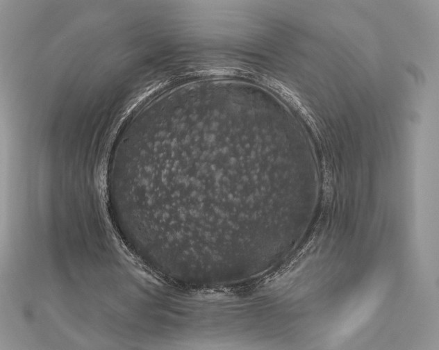 X0000112800386200909041437