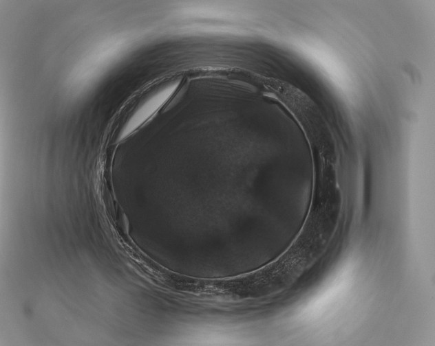 X0000112800387200909041437