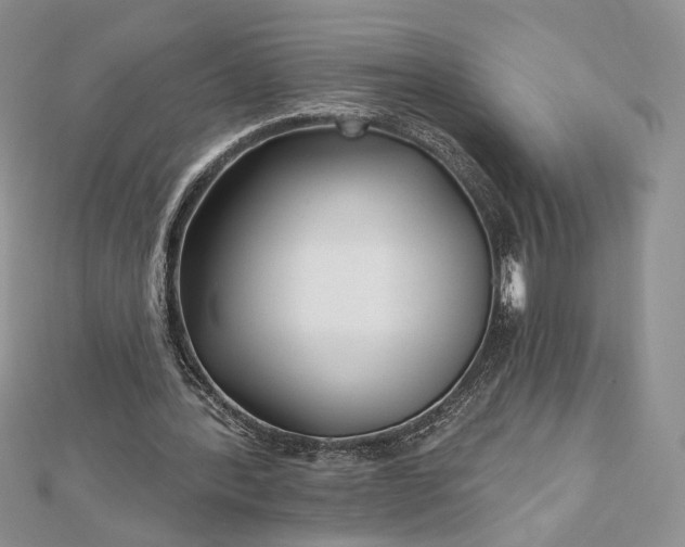 X0000112800388200909041437