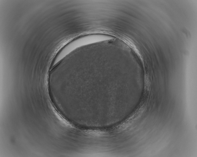 X0000112800389200909041437