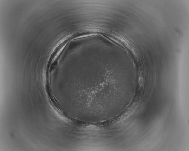 X0000112800390200909041437