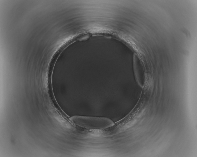 X0000112800391200909041437