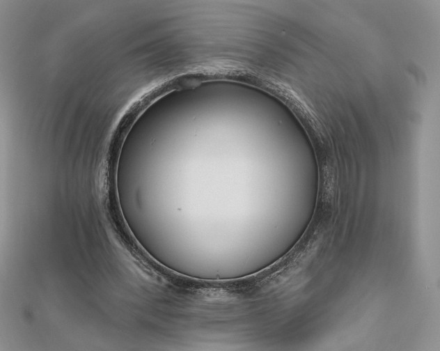 X0000112800392200909041437