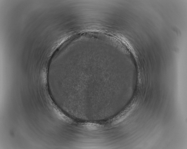 X0000112800393200909041437