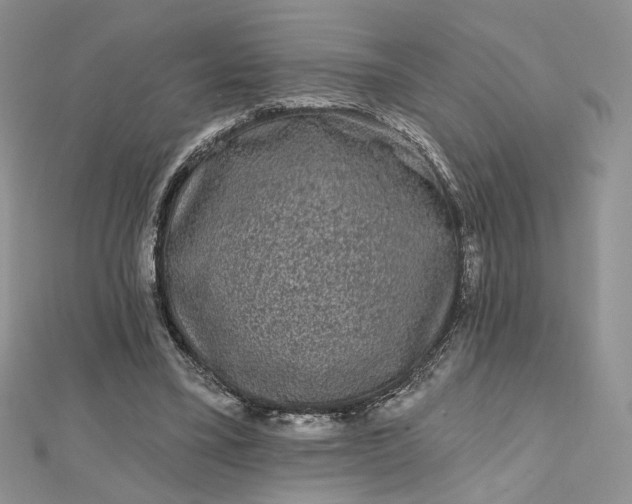 X0000112800395200909041437