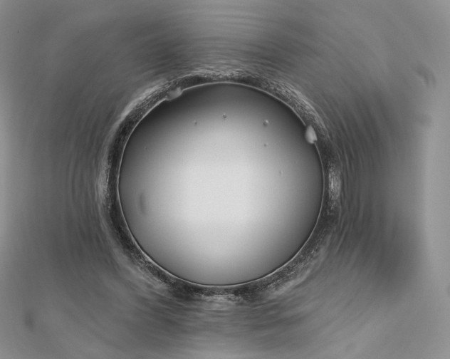 X0000112800396200909041437