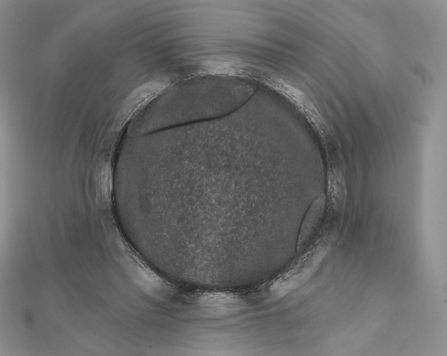 X0000112800397200909041437