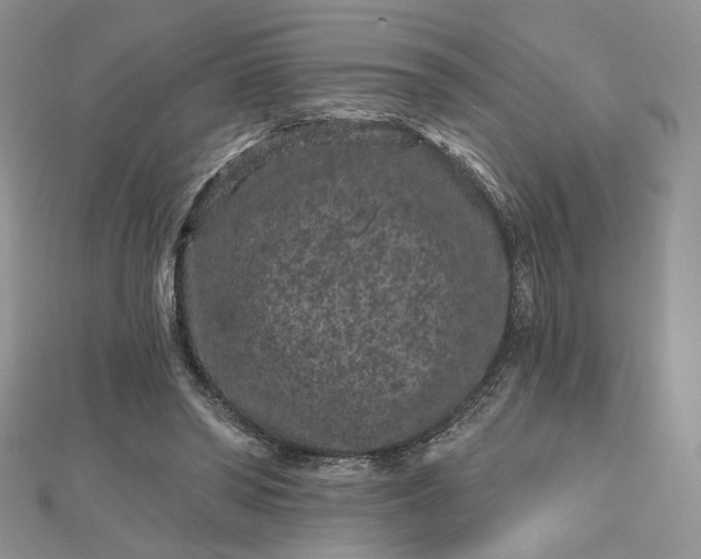 X0000112800398200909041437