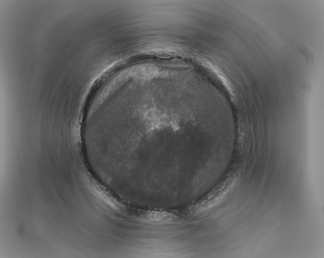 X0000112800399200909041437