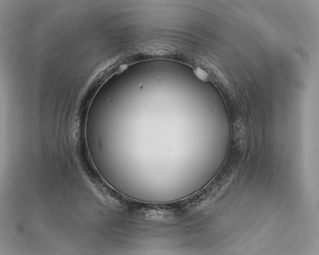 X0000112800400200909041437