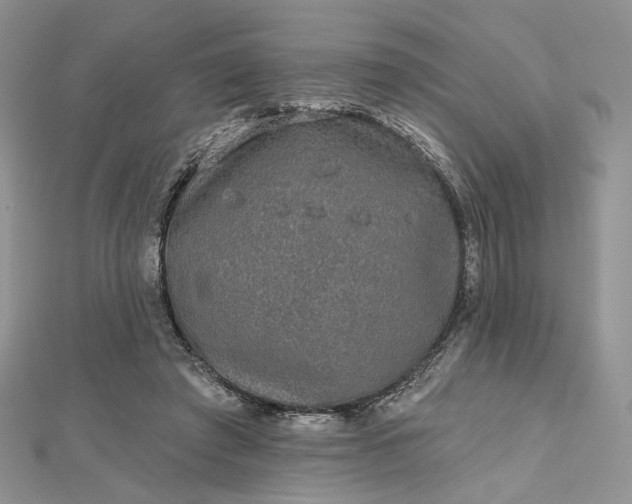 X0000112800401200909041437