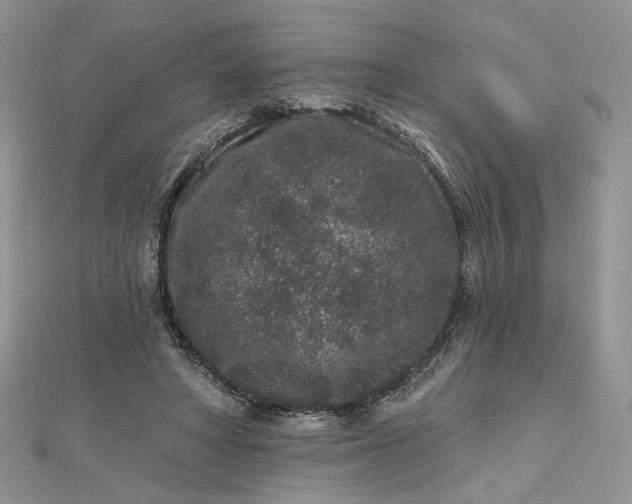 X0000112800402200909041437