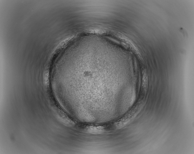 X0000112800403200909041437