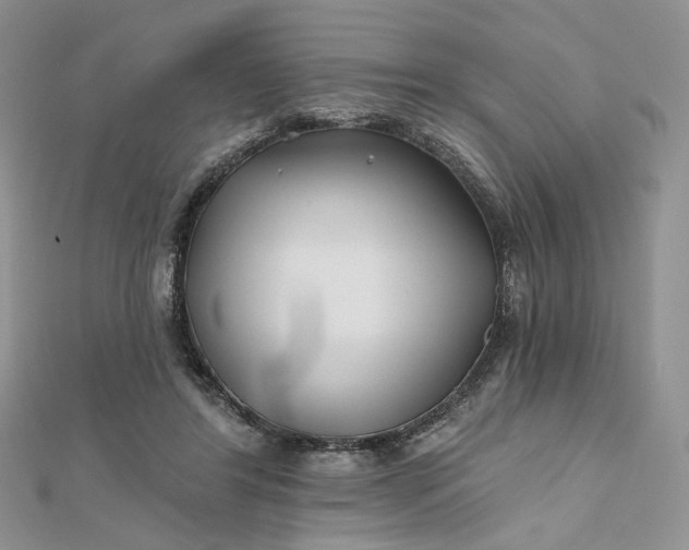 X0000112800404200909041437