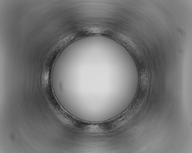 X0000112800406200909041437