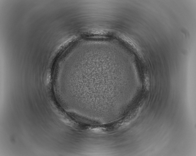 X0000112800407200909041437