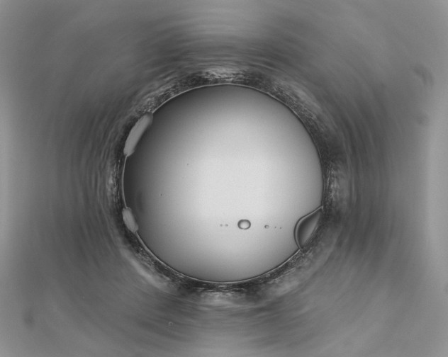 X0000112800408200909041437