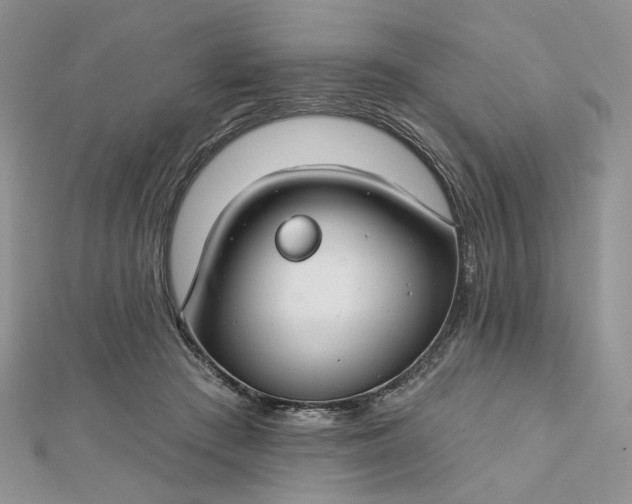 X0000112800409200909041437