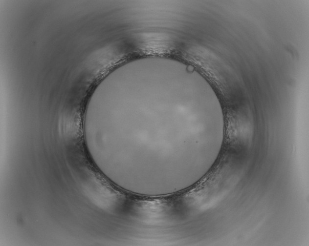 X0000112800411200909041437