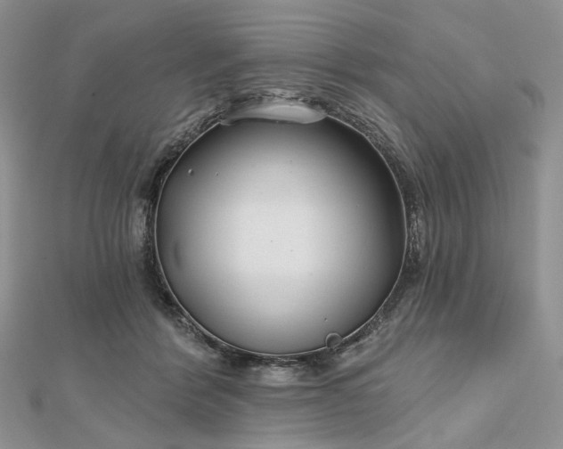 X0000112800412200909041437