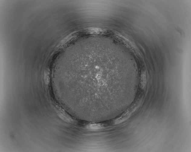 X0000112800413200909041437