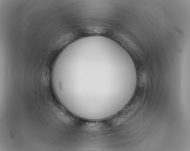 X0000112800414200909041437