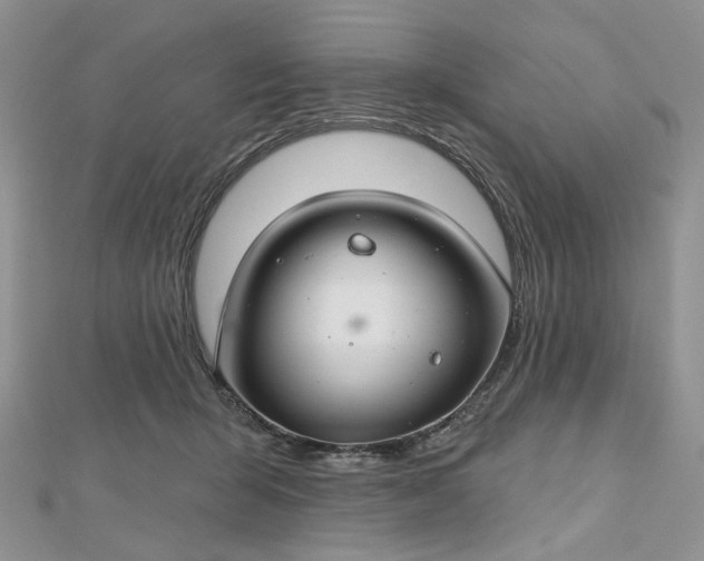 X0000112800415200909041437